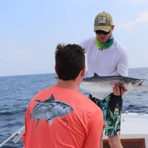 Meet your Posher, Adam